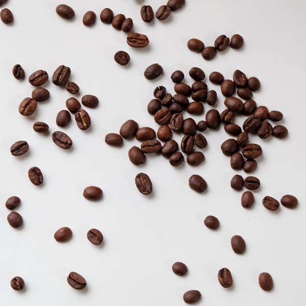 Café Moulus Signature